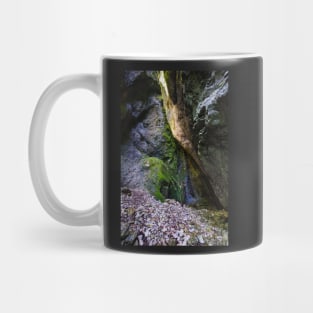 The wonderful Sighistel gorge Mug